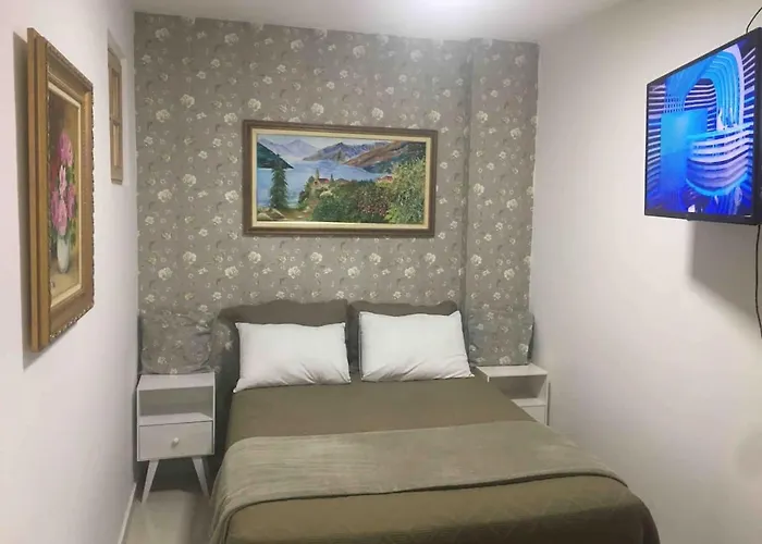 Apartamento 2 Quartos Proximo A 25 De Marco E Bom Retiro
